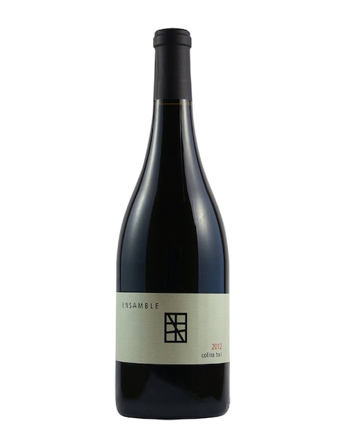 Vino tinto Cabernet Sauvignon 750 ml 1