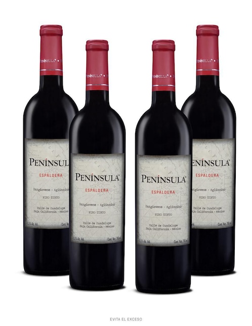 Set vino tinto La Cetto Península Aglianico 750 ml