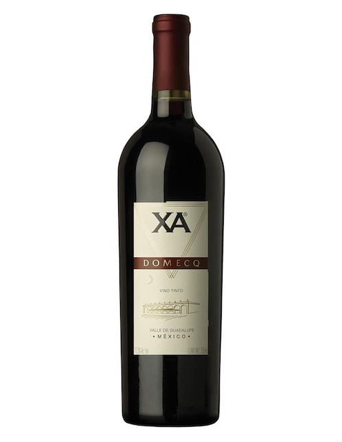 Vino tinto Domecq cabernet sauvignon 1