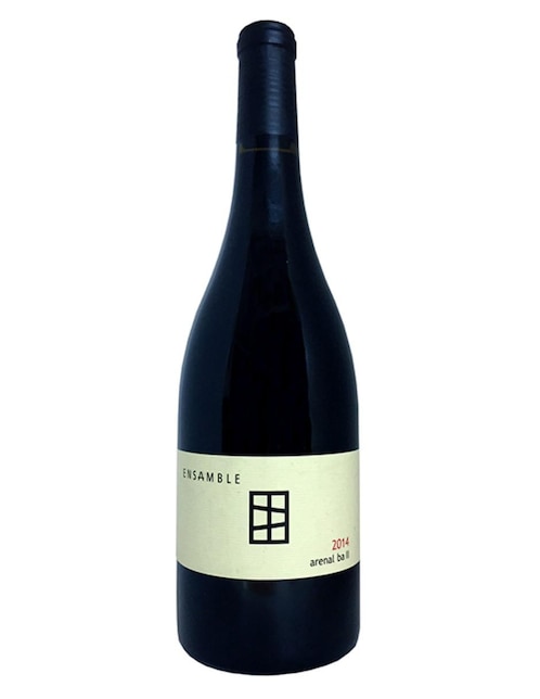 Imagen de producto Vino tinto Ensamble Aren cabernet-merlot 750 ml