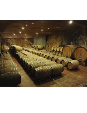 Vino Tinto Montefiori cabernet-syrah 750 ml