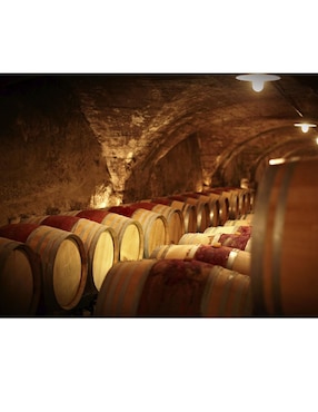 Vino blanco Louis Jadot Chardonnay