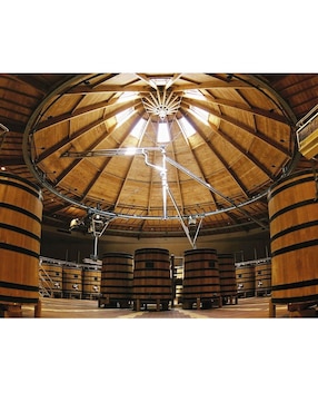 Vino blanco Louis Jadot Chardonnay