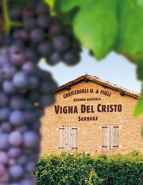 Vino tinto Cavicchioli lambrusco 750 ml
