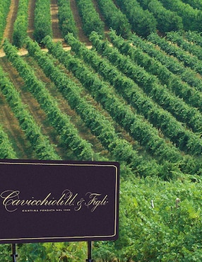 Vino tinto Cavicchioli lambrusco 750 ml