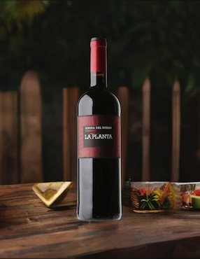 Vino tinto Arzuaga tempranillo