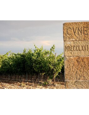 Vino tinto Cune tempranillo 750 ml