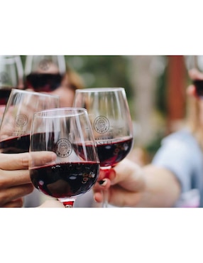 Vino tinto Castel Bordeaux merlot