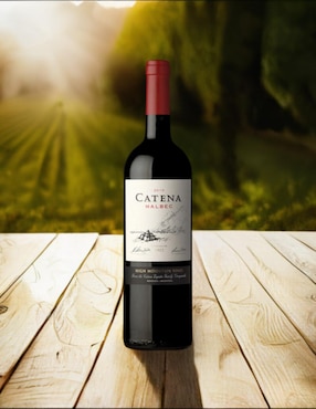 Vino tinto Catena Zapata Malbec malbec750 ml