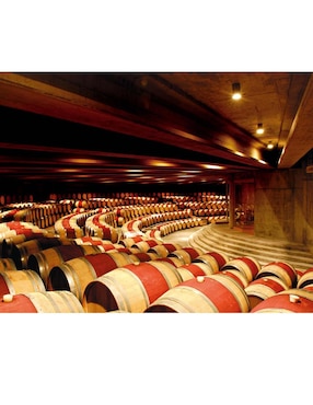Vino tinto Viña Montes Twins cabernet sauvignon