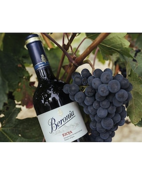 Vino tinto Beronia tempranillo