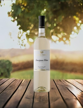 Vino blanco Santo Tomas Sauvignon Blanc 750 ml