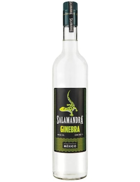 Imagen de producto Caja de 6 piezas Ginebra Salamandra Fest Pet 1 L