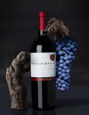 Caja de 12 piezas Vino Tinto Domecq Reserva Magna 750 ml