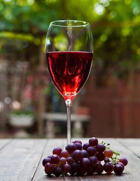 Vino tinto Torres Gran reserva merlot 750 ml