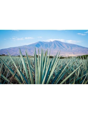 Tequila 7 Leguas tipo Blanco 6 piezas 1 l c/u