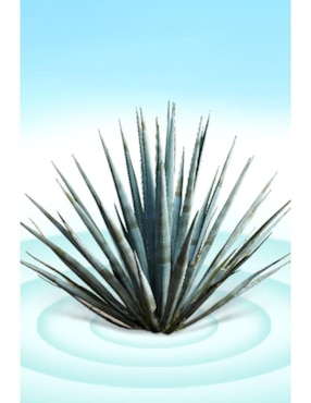Tequila Herencia De Plata tipo Reposado 2 piezas 50 ml c/u