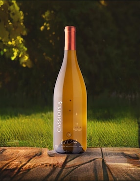 Vino blanco El cielo Sauvignon blanc 750 ml