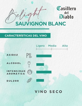 Vino blanco Casillero del Diablo reserva Sauvignon Blanc 750 ml