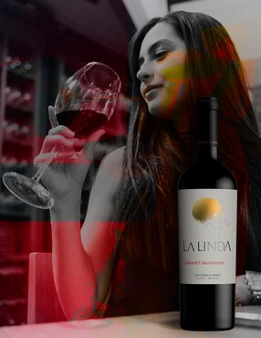 Vino tinto Luigi Bosca La Linda cabernet sauvignon 750 ml