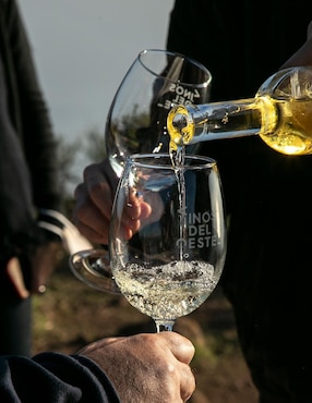 Vino blanco Vinos del Oeste Juego de Pelota Edición Especial sauvignon blanc
