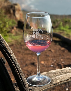 Set vino rosado varietal seco Vinos del Oeste Juego de Pelota 04 pinot noir 750 ml