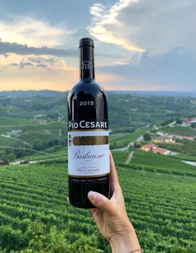 Vino tinto Pio Cesare Barbaresco nebbiolo 750 ml