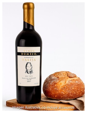 Vino tinto Bodegas Domecq cabernet sauvignon 750 ml