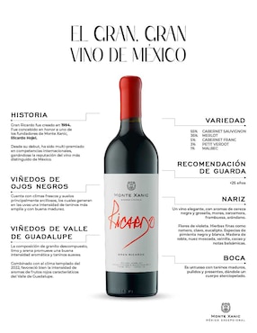 Vino tinto Monte Xanic Gran Ricardo cabernet sauvignon 750 ml