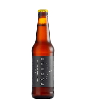 Cerveza Clara Páramo Artesanal 355 Ml