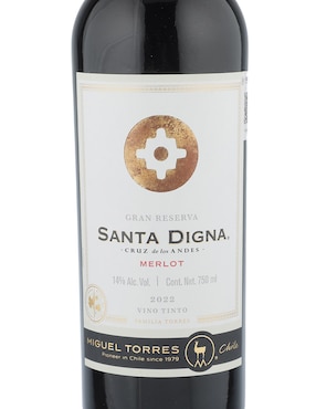 Vino tinto Vinos Torres Chile Santa Digna merlot 750 ml