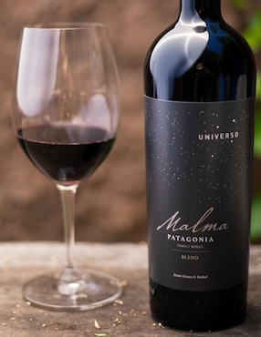 Vino tinto Malma malbec 750 ml