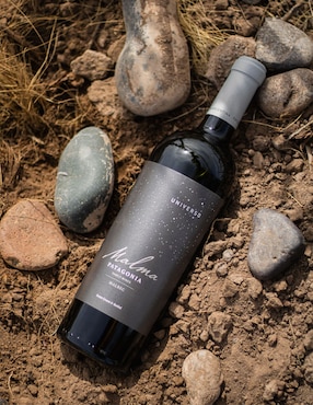 Vino tinto Malma malbec 750 ml