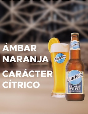 Set de cerveza Blue Moon clara cerveza 355 ml