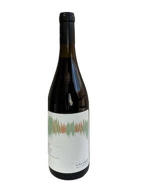 Vino Tinto Viña Gamar Pinot Noir 750 Ml