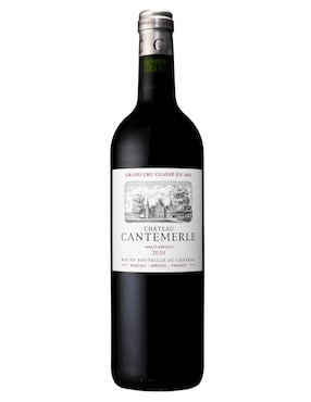 Vino tinto Albert Bichot Grand Cru Classé en 1855 cabernet franc y merlot 750 ml