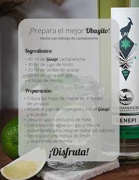 Licor digestivo de Génépi Lachanenche sabor hierbas Artemisia Muttelina 700 ml
