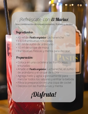 Licor aperitivo de anís estrellado Lachanenche sabor especiado Pastis La Roche Bénite 700 ml