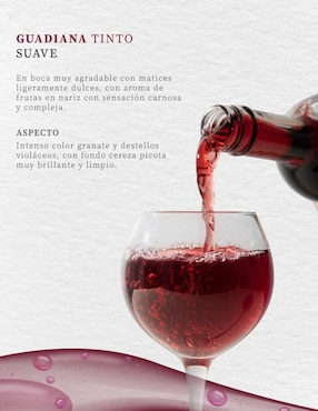 Vino tinto Pinord Guadiana merlot 750 ml