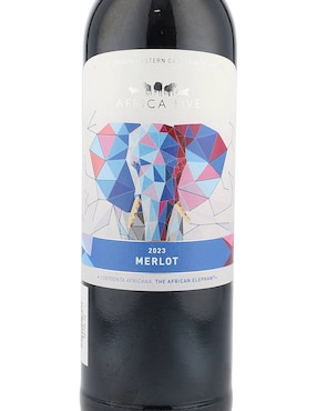 Vino tinto African Five merlot 750 ml