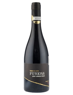 Vino tinto Vignobles vellas syrah 750 ml