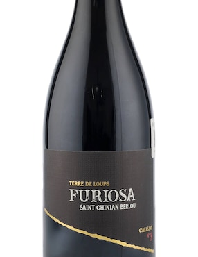 Vino tinto Vignobles vellas syrah 750 ml