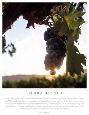 Set vino tinto La Cetto Sierra Blanca varietal 750 ml