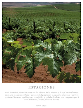Set vino tinto La Cetto Estaciones varietal 750 ml