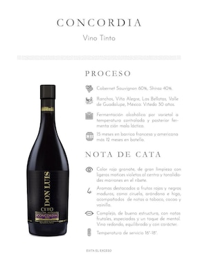 Set vino tinto La Cetto Don Luis varietal 750 ml
