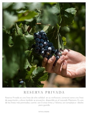 Set vino tinto La Cetto Reserva Privada varietal 750 ml
