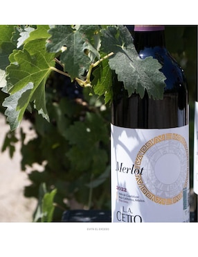 Set vino tinto La Cetto Línea Clásica Merlot 750 ml