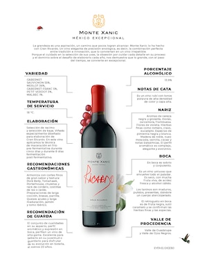 Vino tinto Monte Xanic Gran Ricardo edición de arte varietal 750 ml