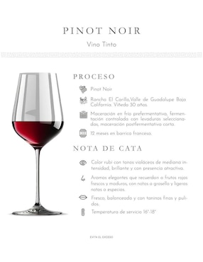 Set vino tinto La Cetto boutique pinot noir 750 ml