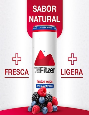 Cocktail Hard Seltzer Fitzer sabor frutal 355 ml